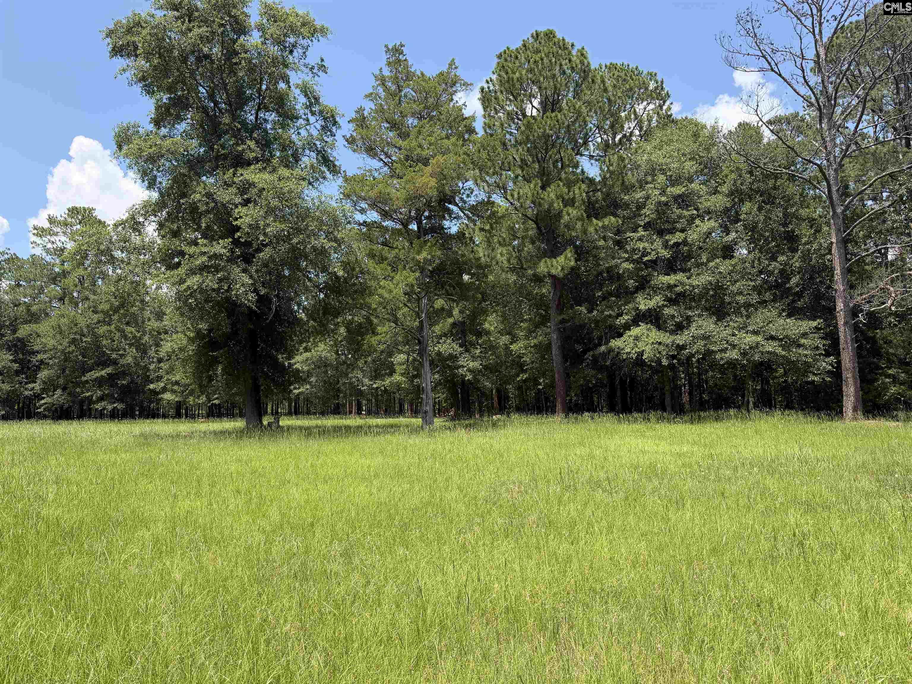 812 Sandfield Road Blythewood, SC 29016 - Photo 3 of 25