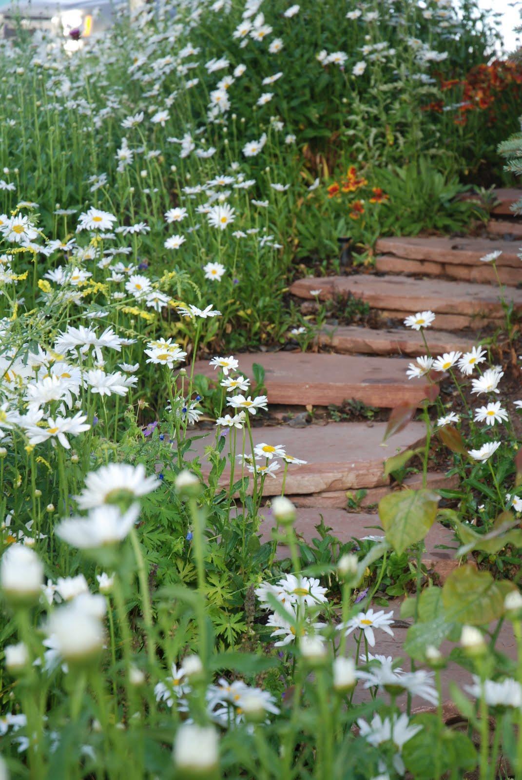 240 Casteel Ridge Edwards, CO 81632 - Photo 74 of 83 a backyard of a red building with lots of trees
