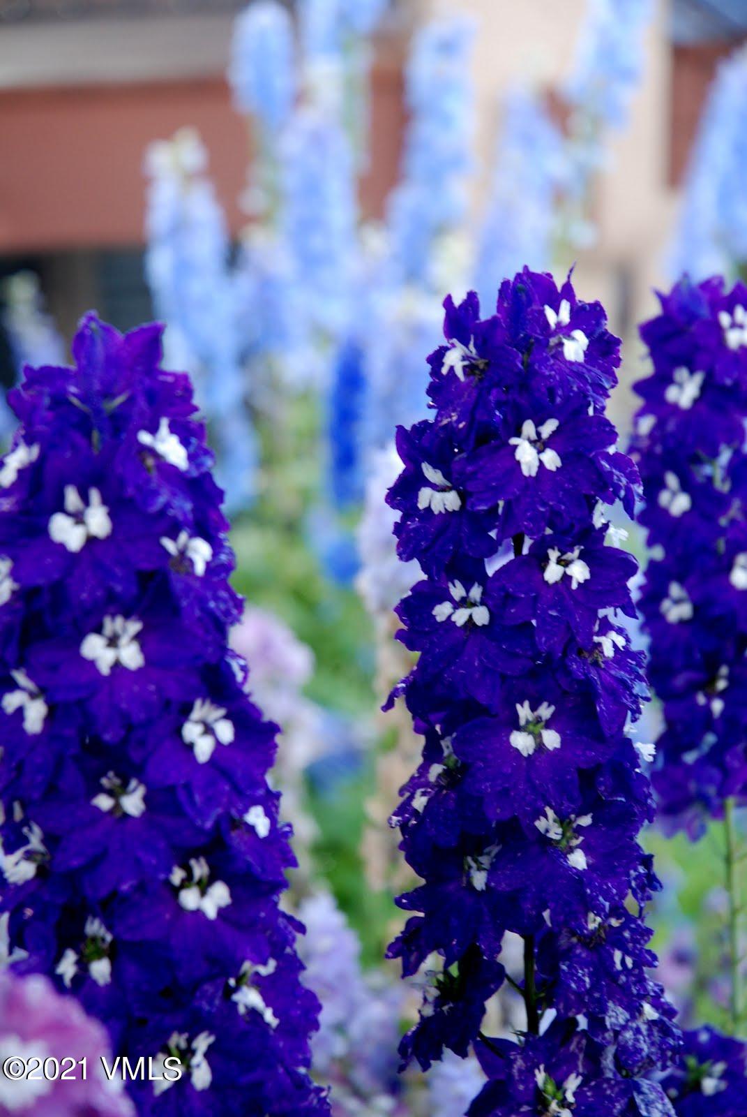 240 Casteel Ridge Edwards, CO 81632 - Photo 76 of 83 240 Casteel Ridge 76