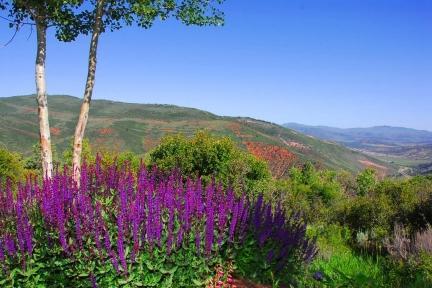 240 Casteel Ridge Edwards, CO 81632 - Photo 82 of 83 240 Casteel Ridge 82