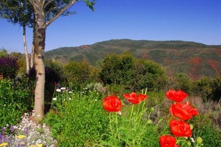 240 Casteel Ridge Edwards, CO 81632 - Photo 83 of 83 240 Casteel Ridge 88