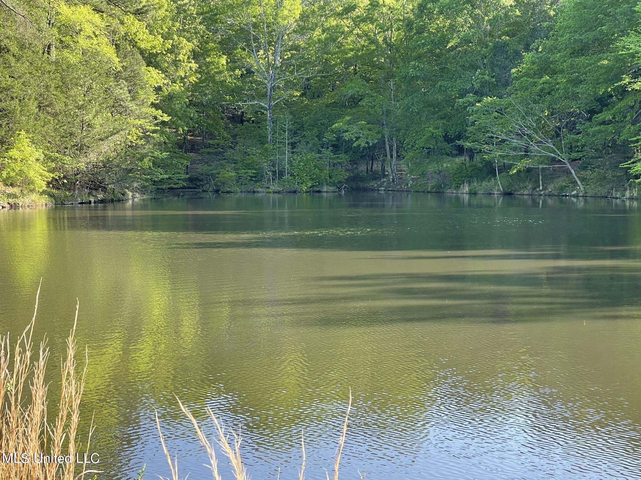 6895 Jackson Raymond Road Raymond, MS 39154 - Photo 25 of 30 IMG_4313