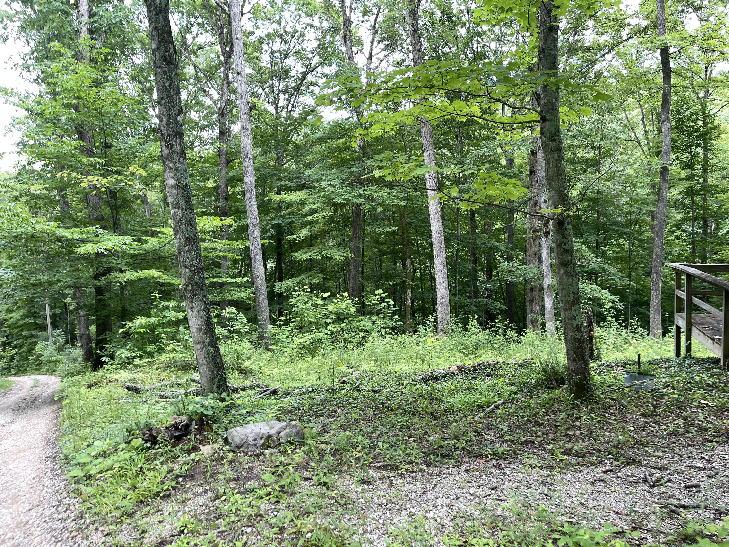 91 Pipeline Road Frenchburg, KY 40322 - Photo 12 of 40 IMG_8147