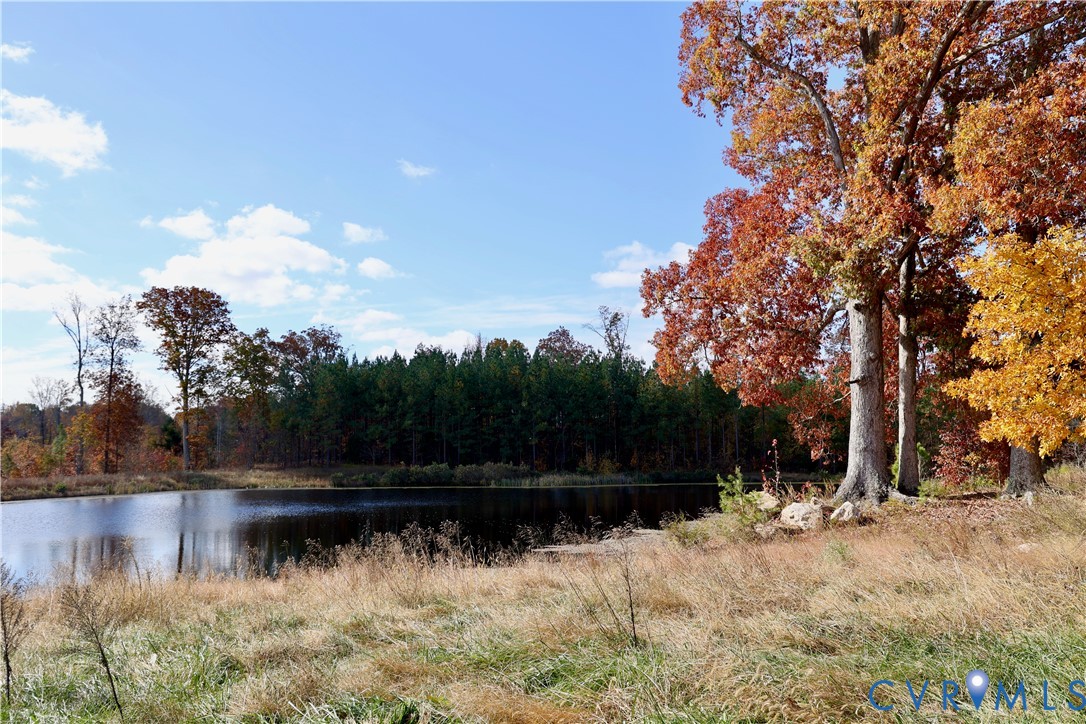 1192 West Store Road Halifax, VA 24558 - Photo 30 of 53