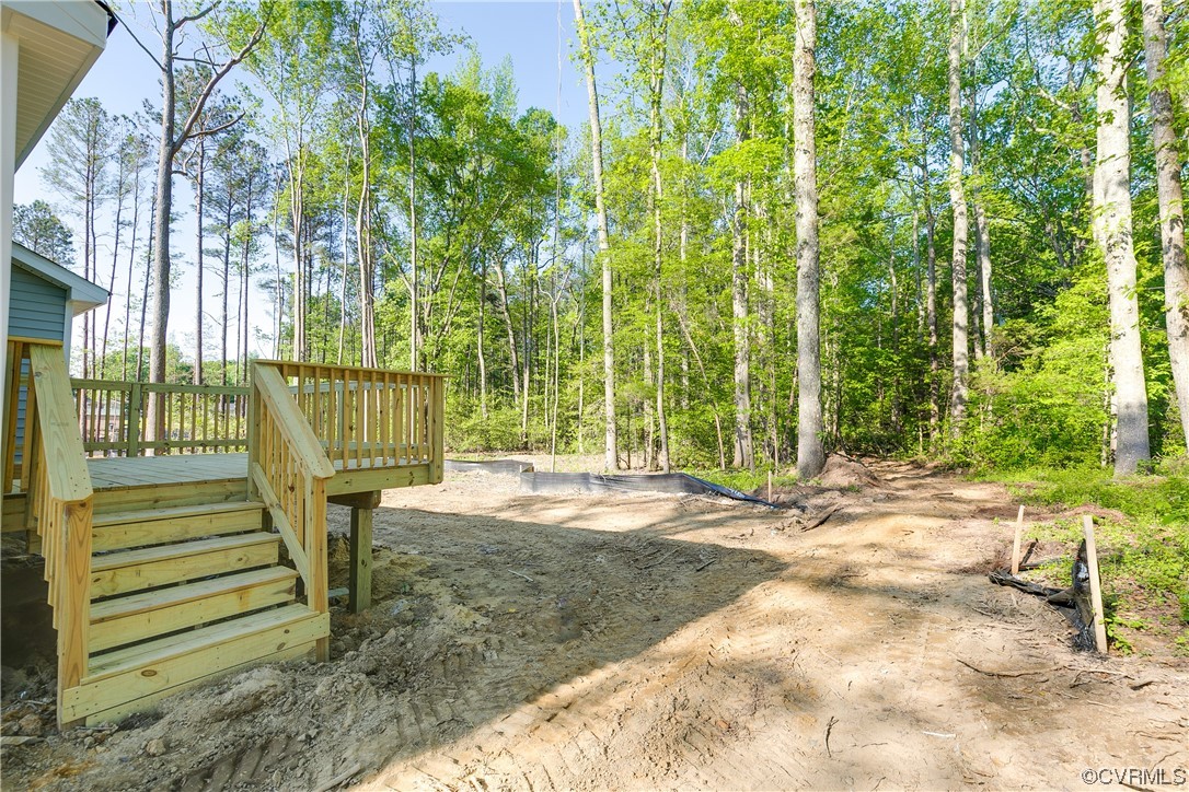 15406 Saddlebrook Road Chesterfield, VA 23838 - Photo 34 of 36 a view of outdoor space and patio