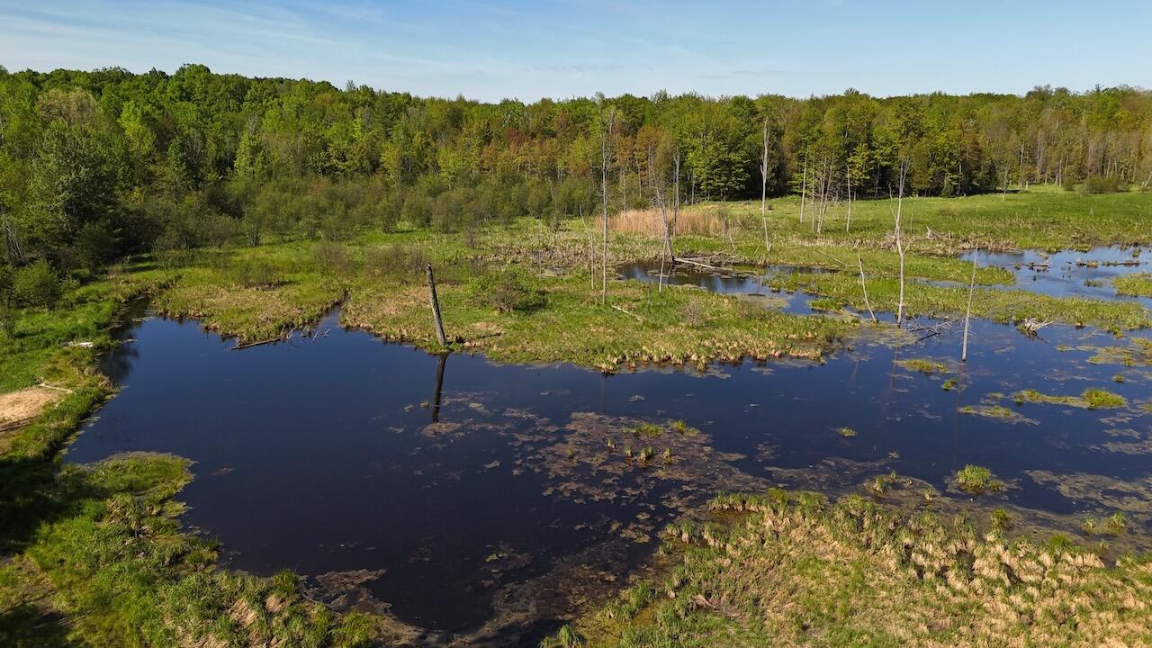 11547 1 Mile Road Leroy, MI 49655 - Photo 52 of 73 41_