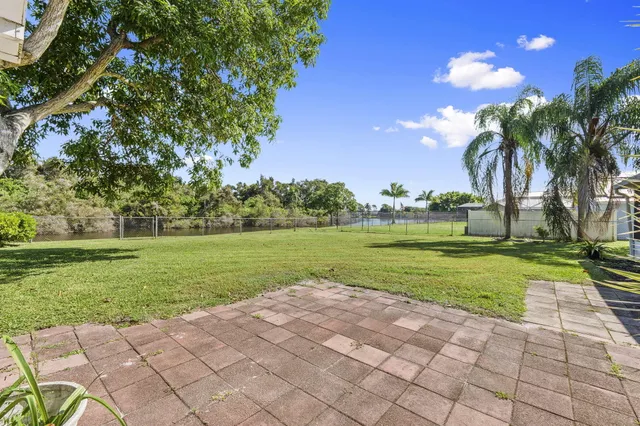 a view of a park with big trees