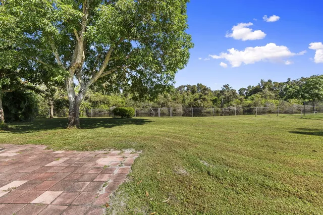 a view of a field with a tree