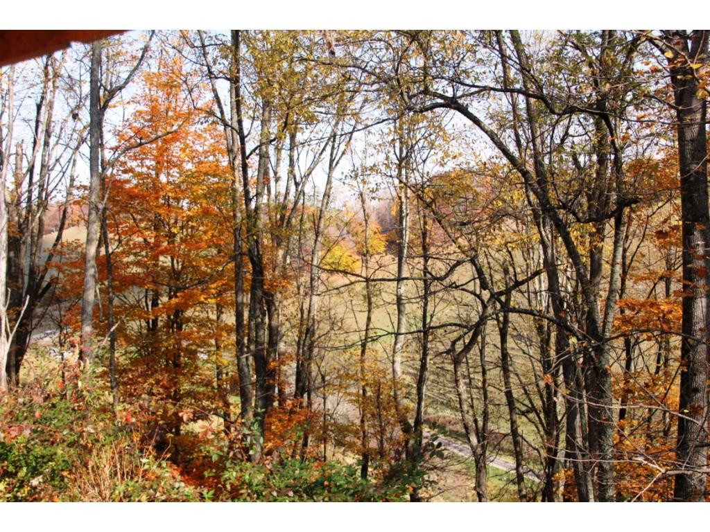 828 Buttermilk Road Trade, TN 37691 - Photo 4 of 23 VIEW FROM PORCH