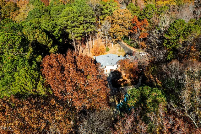 a view of a yard with large trees