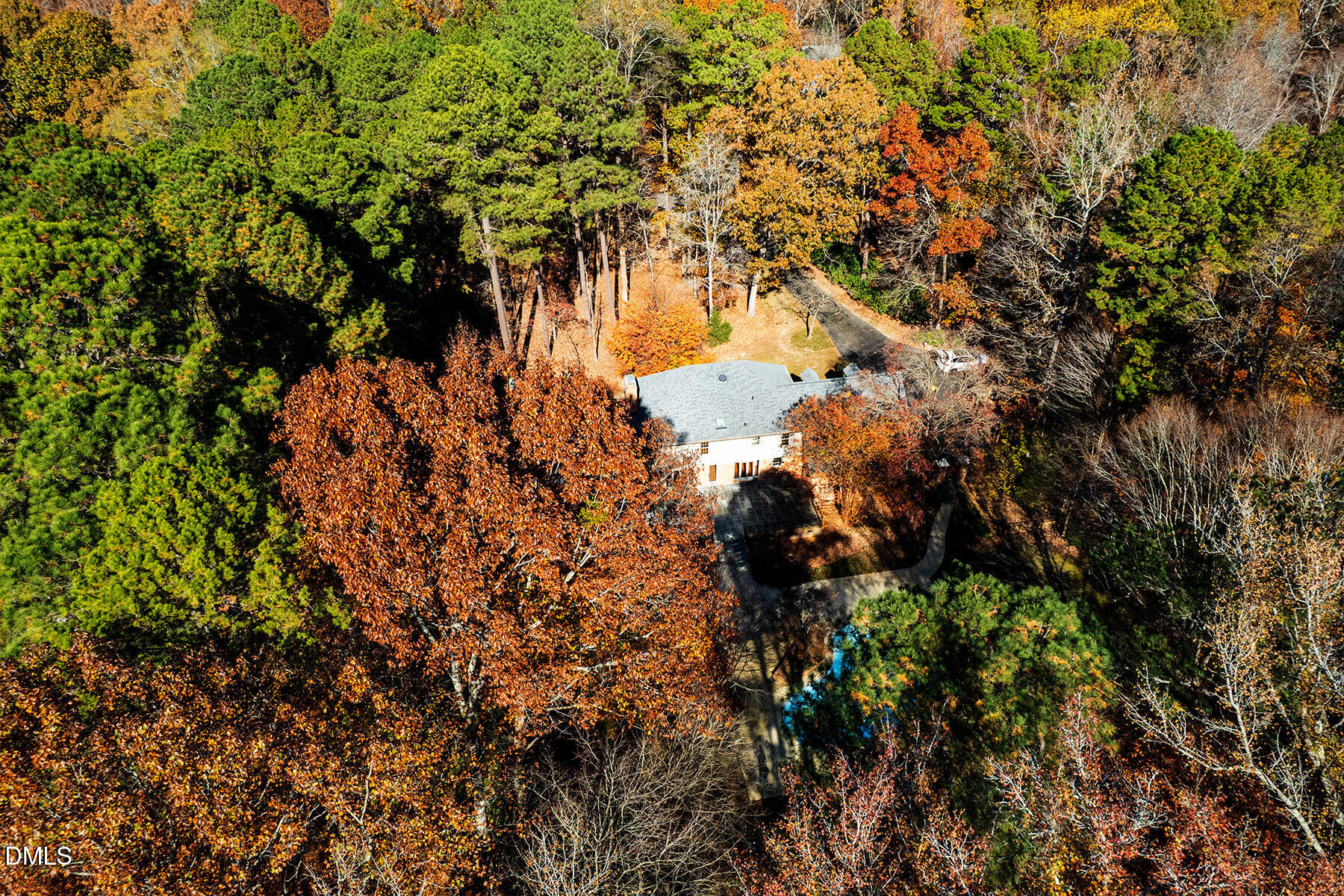 14263 Wyndfield Circle Raleigh, NC 27615 - Photo 11 of 74 a view of a tree