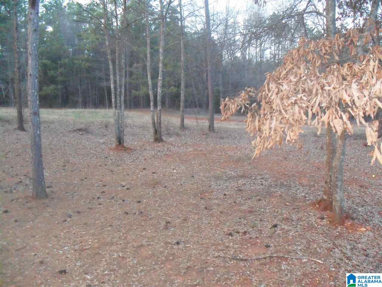 550 Creek Ridge Drive Riverside, AL 35135 - Photo 27 of 32