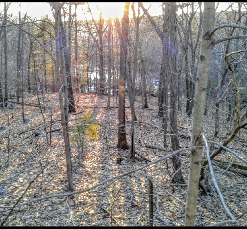 a view of outdoor space