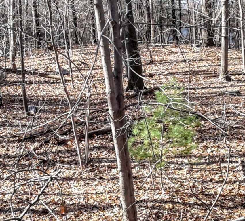 223 Walnut Street Saugus, MA 01906 - Photo 3 of 3 a view of under construction area