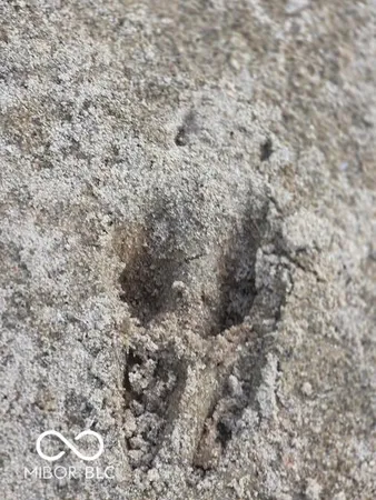 $84,100 | 3265 East County Road 425 North, North Vernon, IN 47265