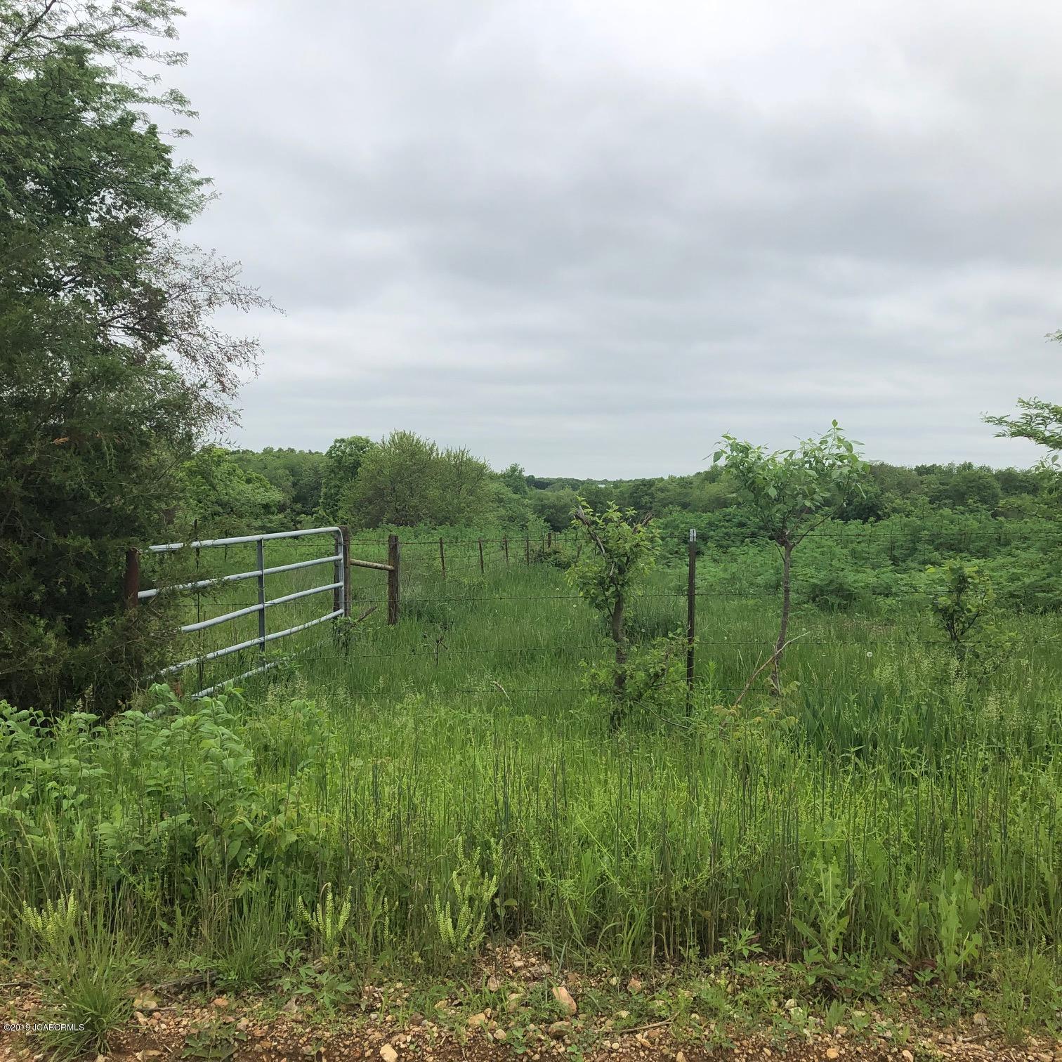 Tbd Union Ford Road California, MO 65018 - Photo 7 of 13