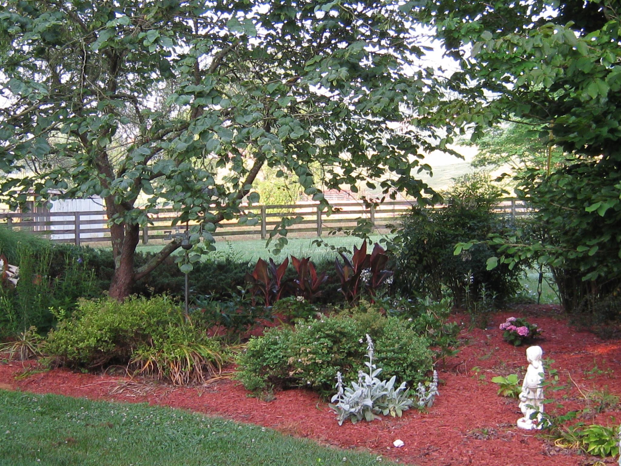 526 Mimosa Road Fayetteville, TN 37334 - Photo 8 of 27 a view of a garden with plants and trees
