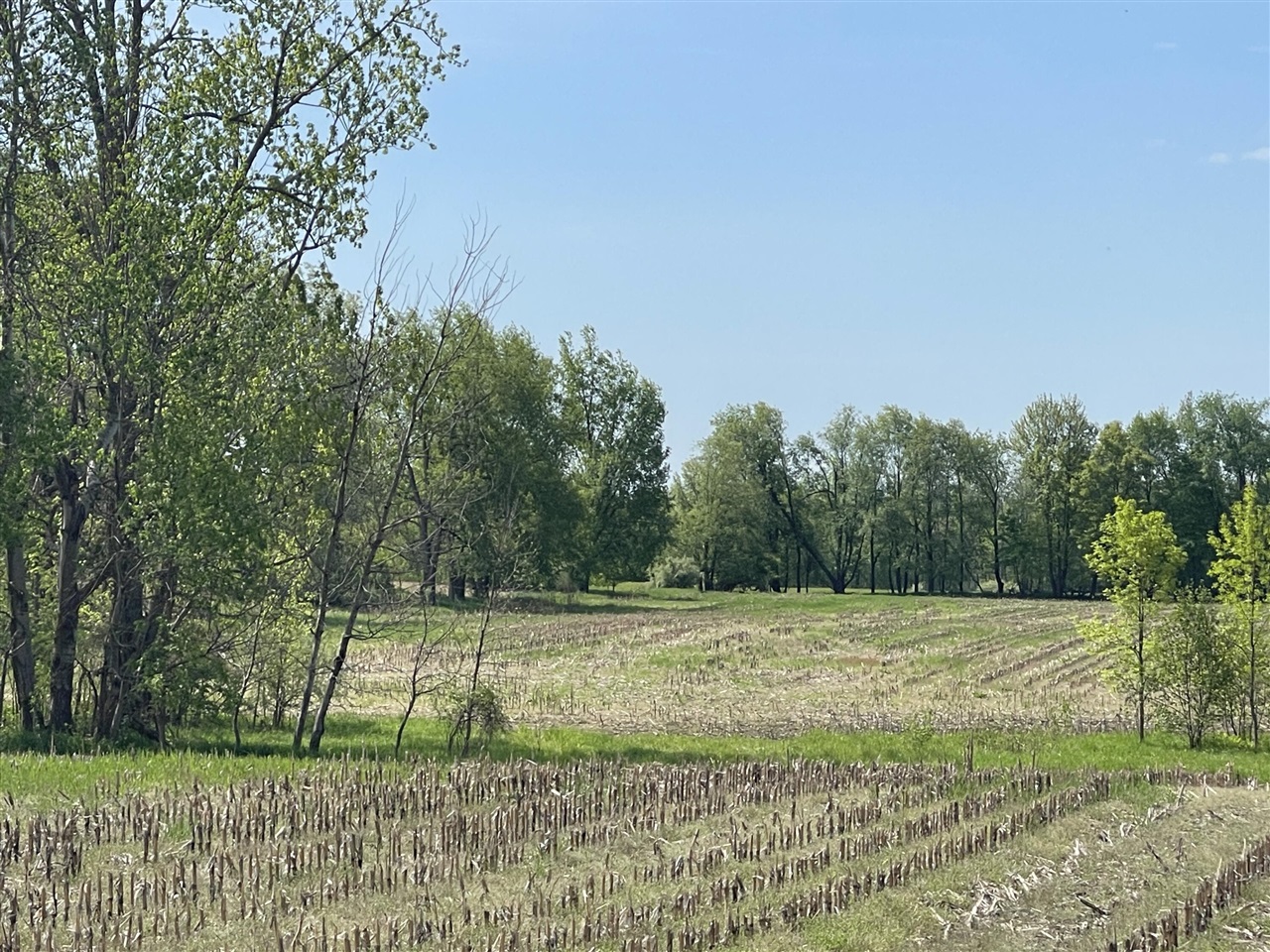 4514 22 Mile Road Northeast, Unit PARCEL 1 Sand Lake, MI 49343 - Photo 5 of 17