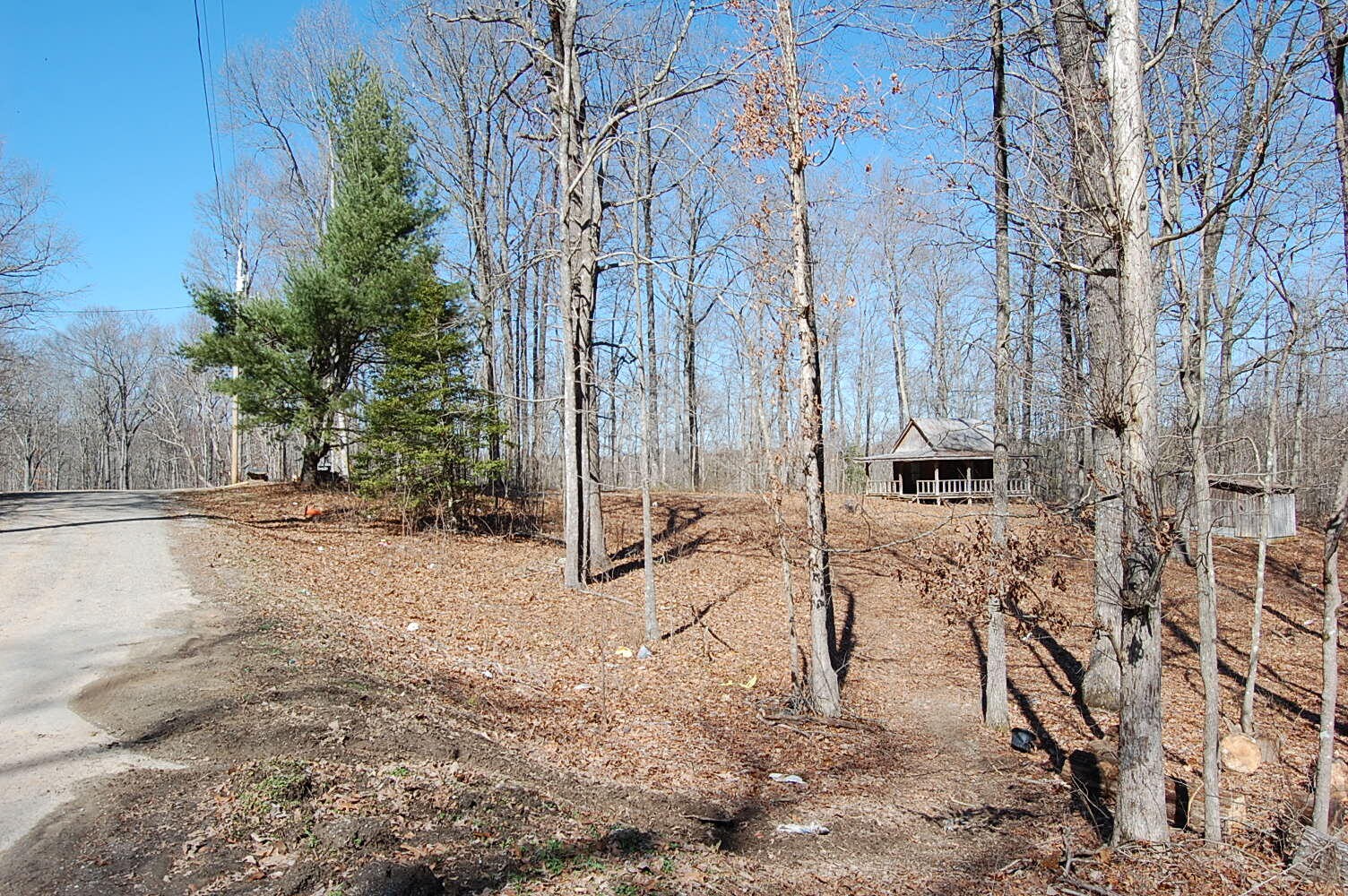 536 Skiview Drive Dunlap, TN 37327 - Photo 3 of 30 Gallery Image 3