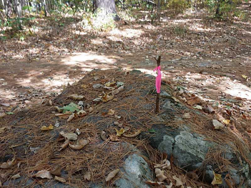 182 Stinchfeld Beach Road Leeds, ME 04263 - Photo 13 of 23 Exterior Front. Survey marker
