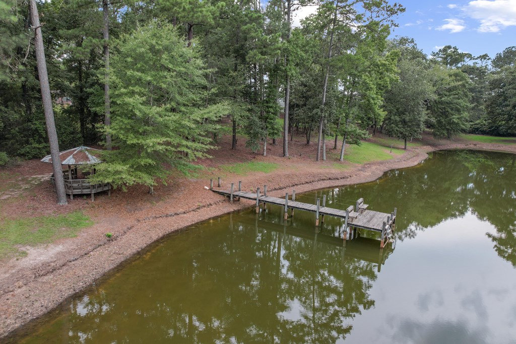 6850 North Co Road Columbia, AL 36319 - Photo 68 of 81
