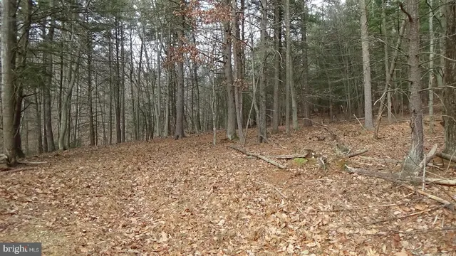 $369,000 | Lot 3 Veterans Way, Elliottsburg, PA 17024