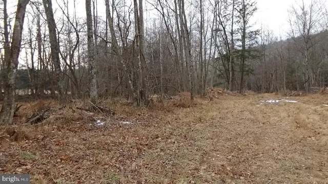 a view of outdoor space with trees