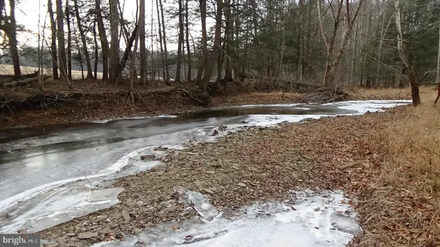 a view of a backyard with trees