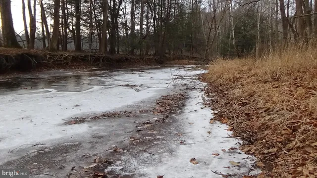 a view of backyard with green space