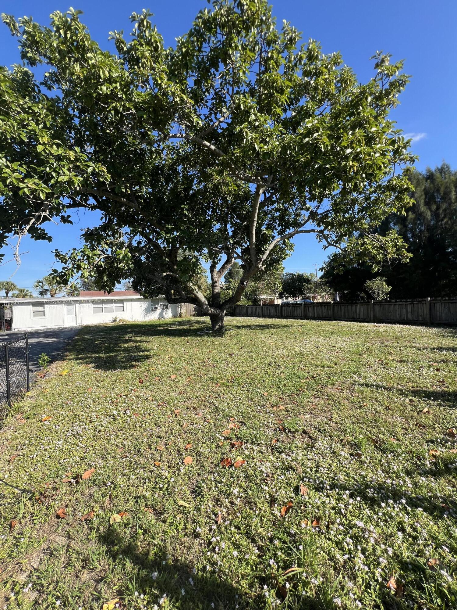 2819 Holly Road West Palm Beach, FL 33406 - Photo 12 of 12 Mango Tree H