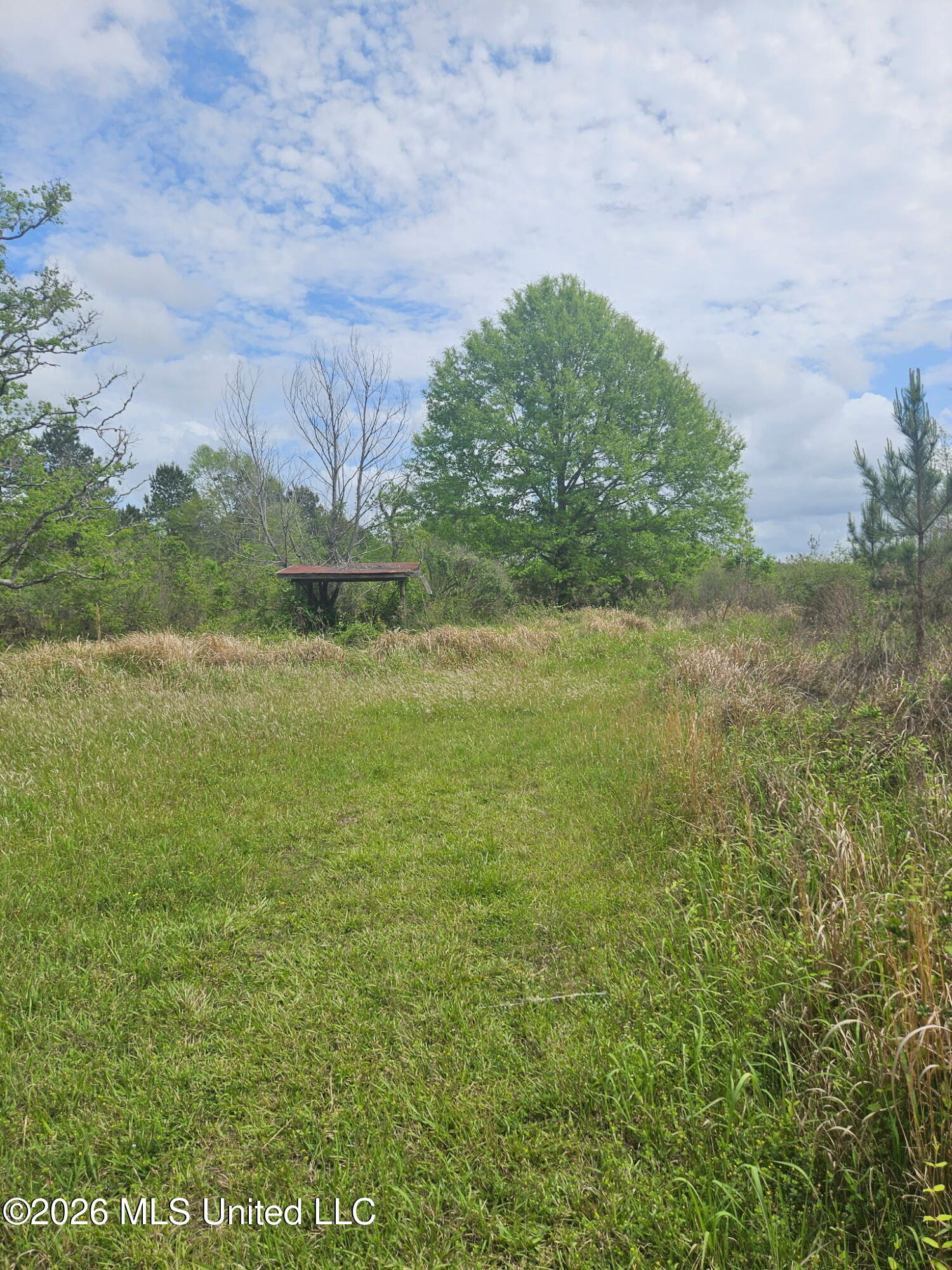6201 Wesley Powell Road Lucedale, MS 39452 - Photo 5 of 21 IMG_20260407_145420