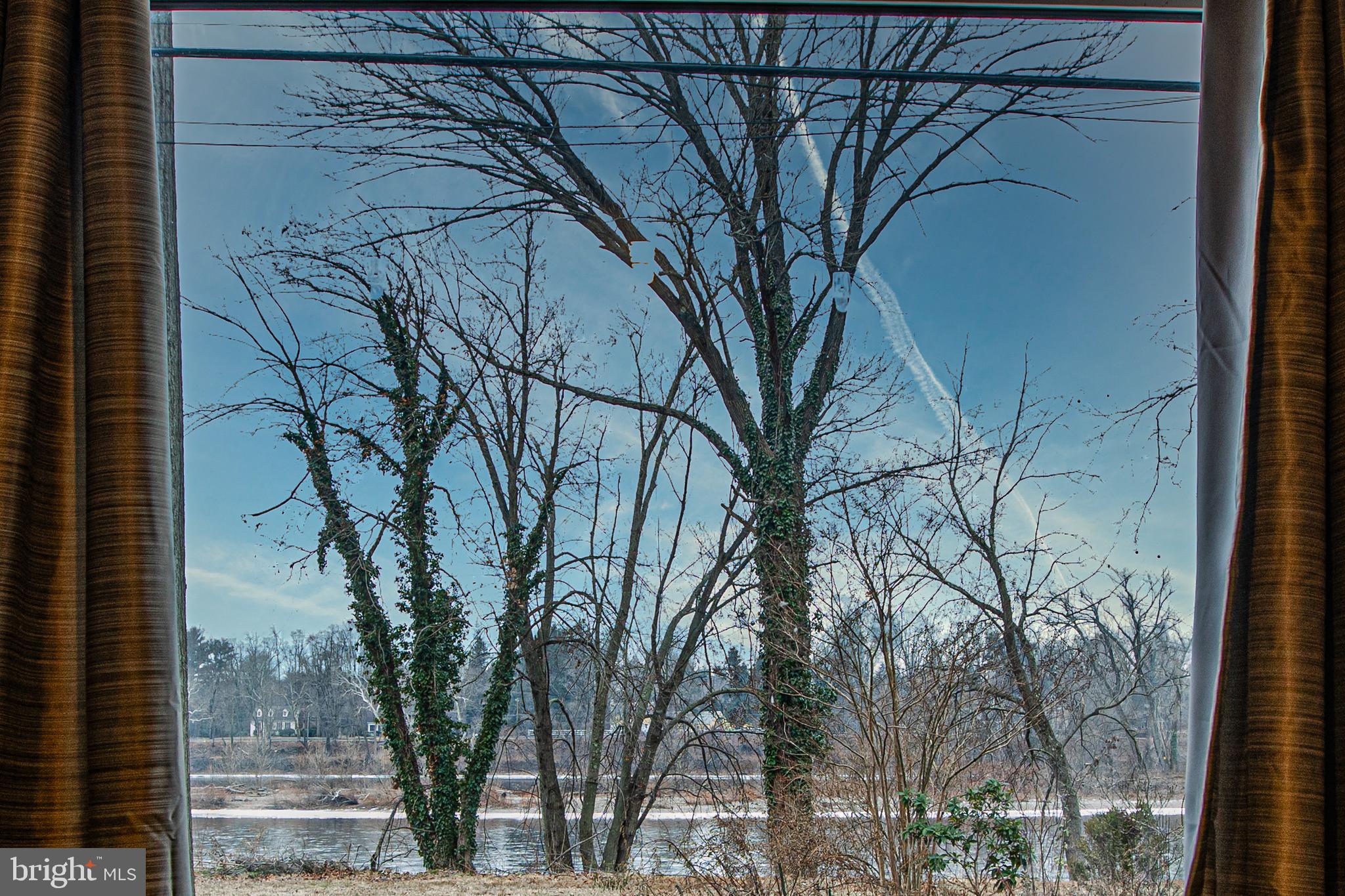 1530 Riverside Drive Trenton, NJ 08618 - Photo 9 of 36 a view of a forest filled with trees