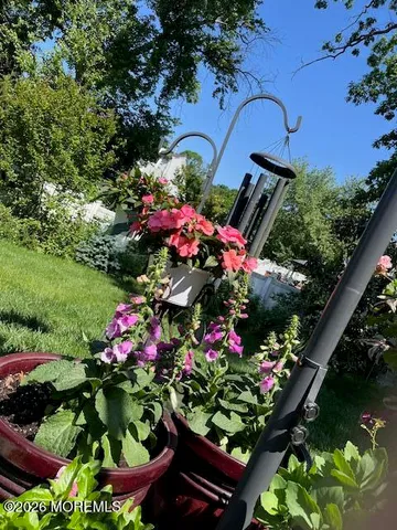 a picture of flowers