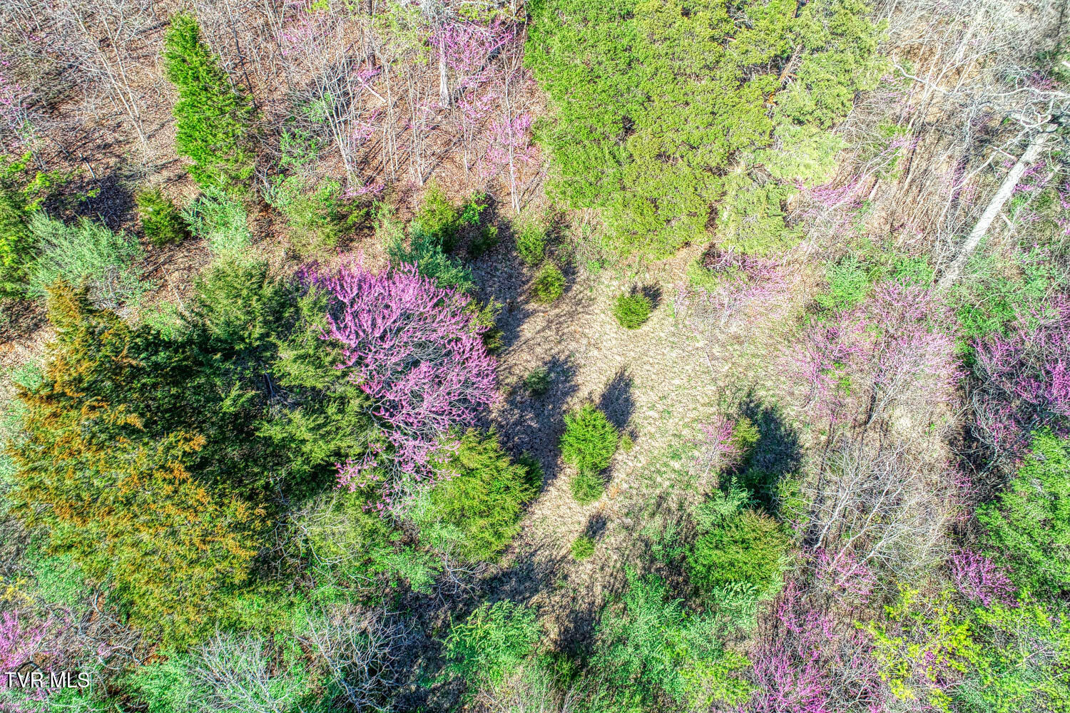 0 Sensabaugh Hollow Road, Unit 1 Church Hill, TN 37642 - Photo 11 of 25 Sensabaugh. CH MLSa (11 of 25)