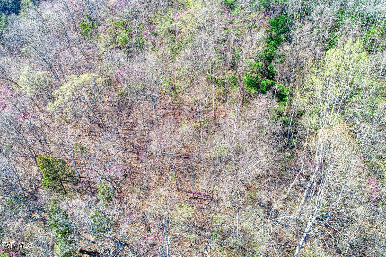 0 Sensabaugh Hollow Road, Unit 1 Church Hill, TN 37642 - Photo 18 of 25 Sensabaugh. CH MLSa (18 of 25)