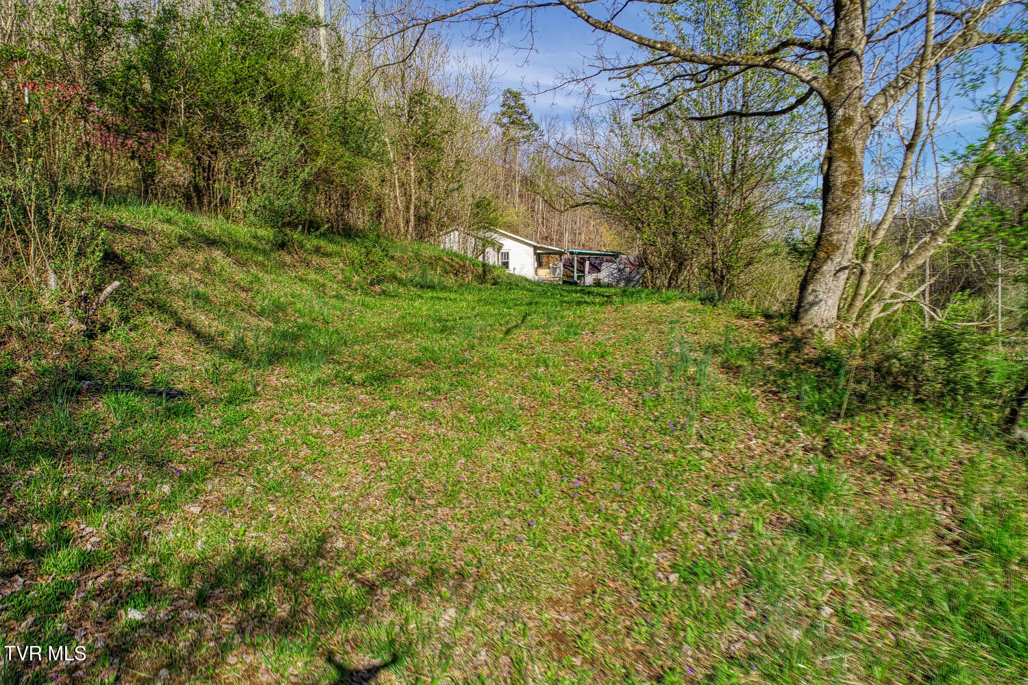 0 Sensabaugh Hollow Road, Unit 1 Church Hill, TN 37642 - Photo 2 of 25 Sensabaugh. CH MLSa (2 of 25)