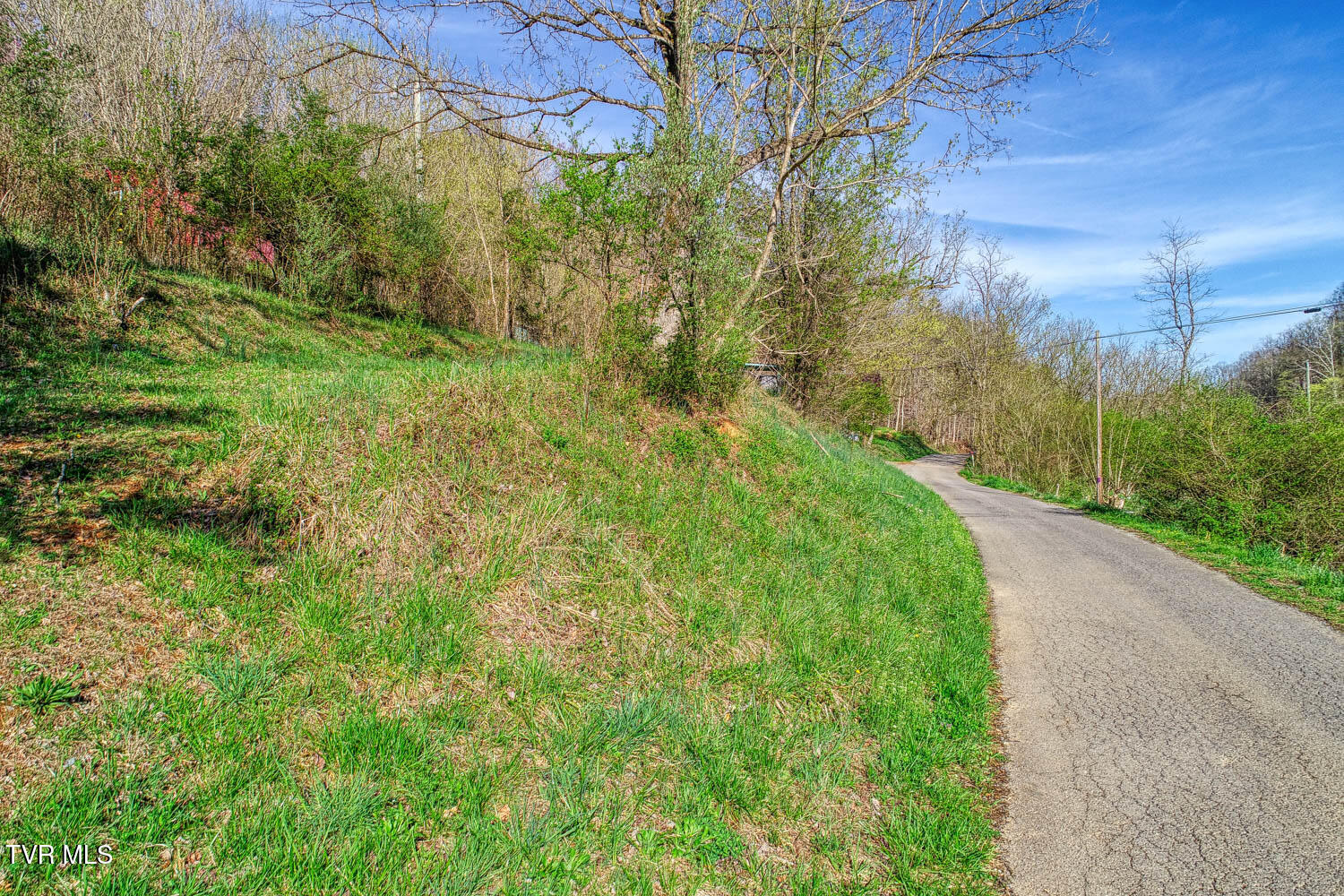 0 Sensabaugh Hollow Road, Unit 1 Church Hill, TN 37642 - Photo 3 of 25 Sensabaugh. CH MLSa (3 of 25)