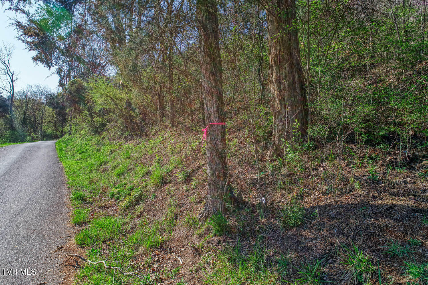 0 Sensabaugh Hollow Road, Unit 1 Church Hill, TN 37642 - Photo 4 of 25 Sensabaugh. CH MLSa (4 of 25)