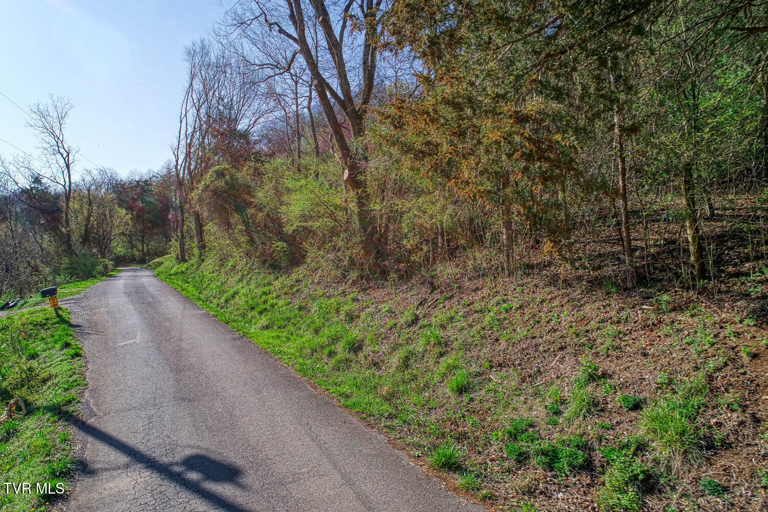 0 Sensabaugh Hollow Road, Unit 1 Church Hill, TN 37642 - Photo 5 of 25 Sensabaugh. CH MLSa (5 of 25)