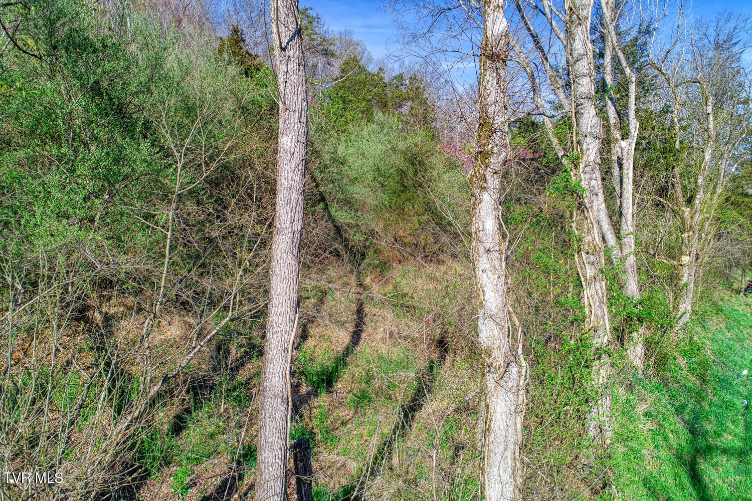 0 Sensabaugh Hollow Road, Unit 1 Church Hill, TN 37642 - Photo 8 of 25 Sensabaugh. CH MLSa (8 of 25)