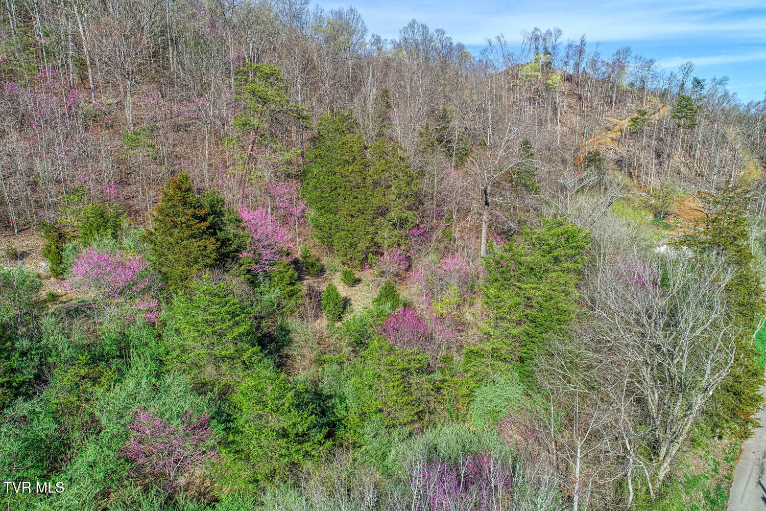 0 Sensabaugh Hollow Road, Unit 1 Church Hill, TN 37642 - Photo 9 of 25 Sensabaugh. CH MLSa (9 of 25)