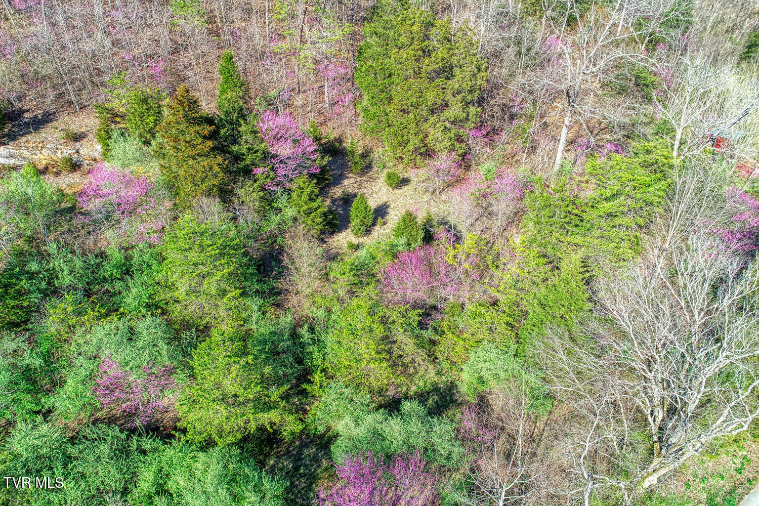 0 Sensabaugh Hollow Road, Unit 1 Church Hill, TN 37642 - Photo 10 of 25 Sensabaugh. CH MLSa (10 of 25)