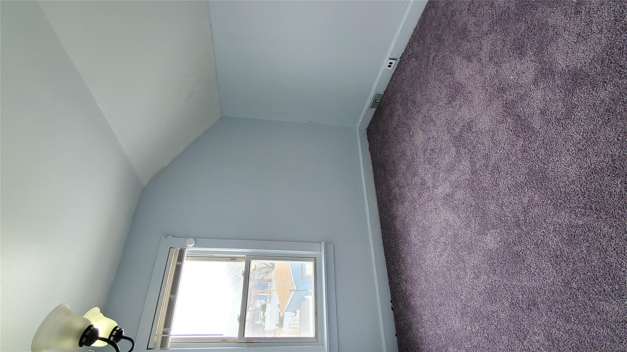 144-49 166th Street Queens, NY 11434 - Photo 8 of 15 Additional living space featuring baseboards, vaulted ceiling, and carpet