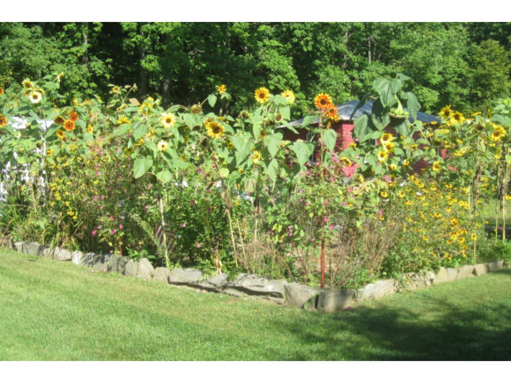 2753 South Vershire Road Vershire, VT 05079 - Photo 4 of 20