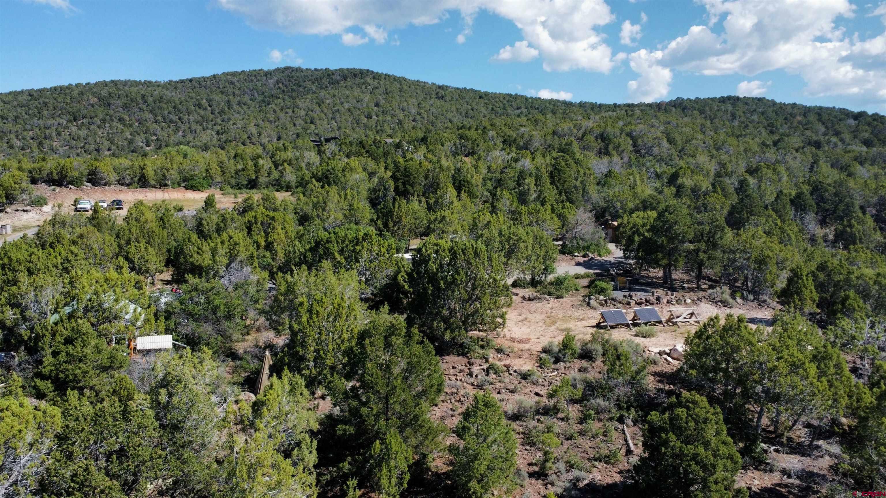 24279 Ute Trail Road Cedaredge, CO 81413 - Photo 2 of 15 a view of a bunch of trees and bushes