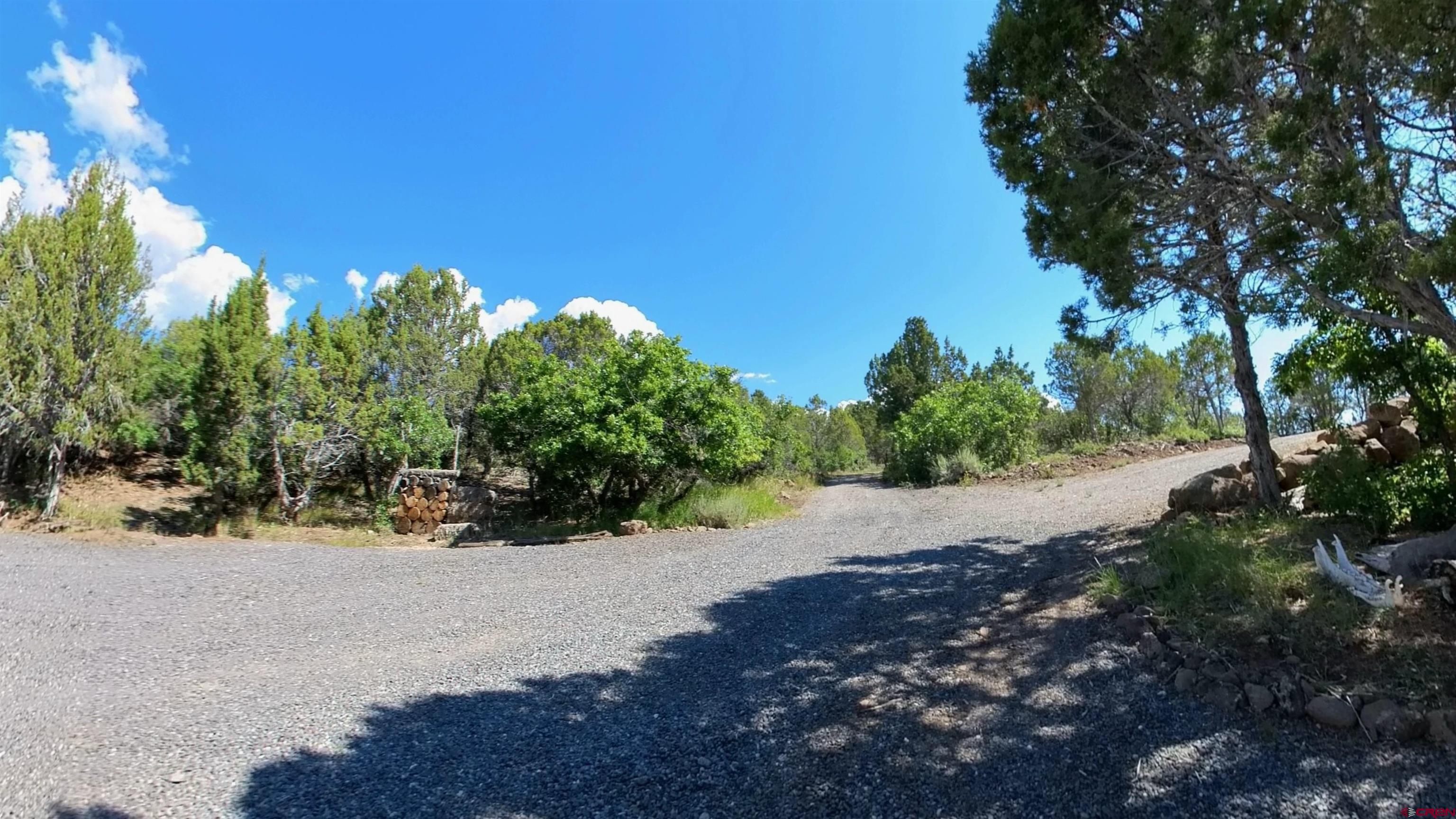 24279 Ute Trail Road Cedaredge, CO 81413 - Photo 10 of 15 a view of a road with a tree in the background
