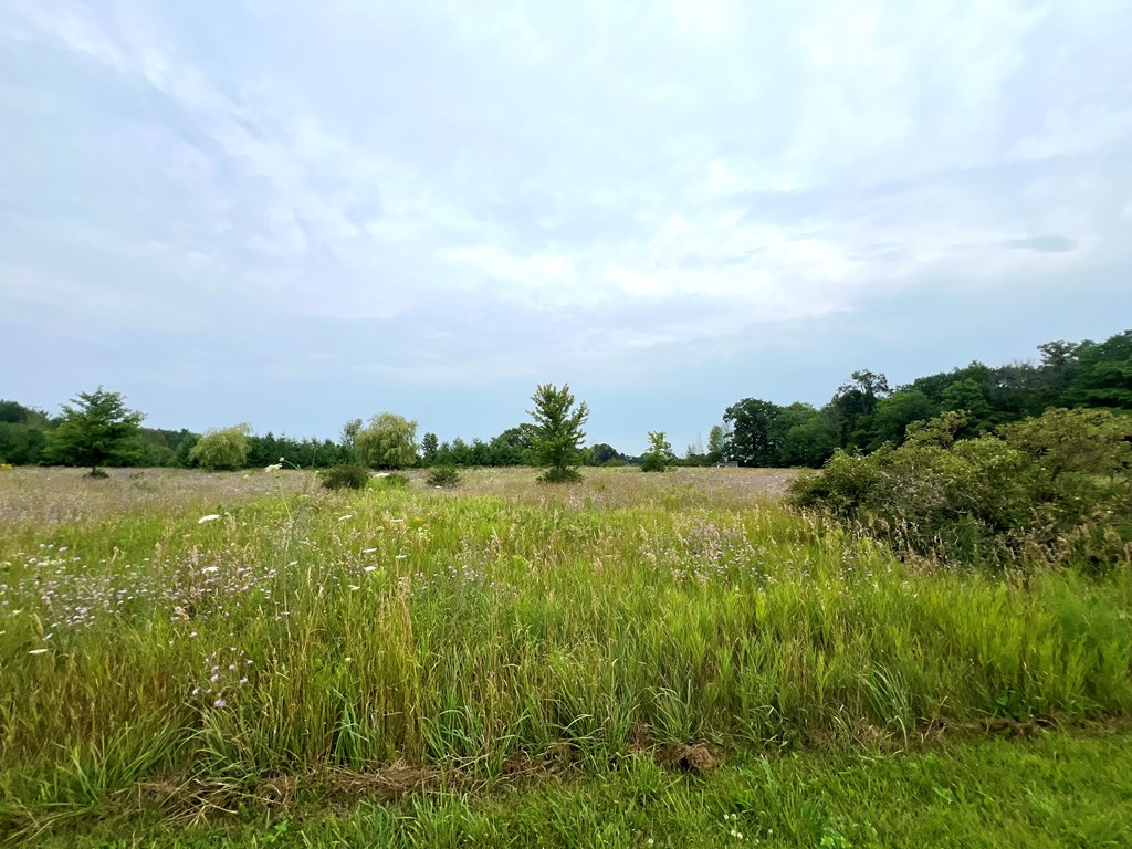 Tbd Indigo Road Egg Harbor, WI 54209 - Photo 2 of 10
