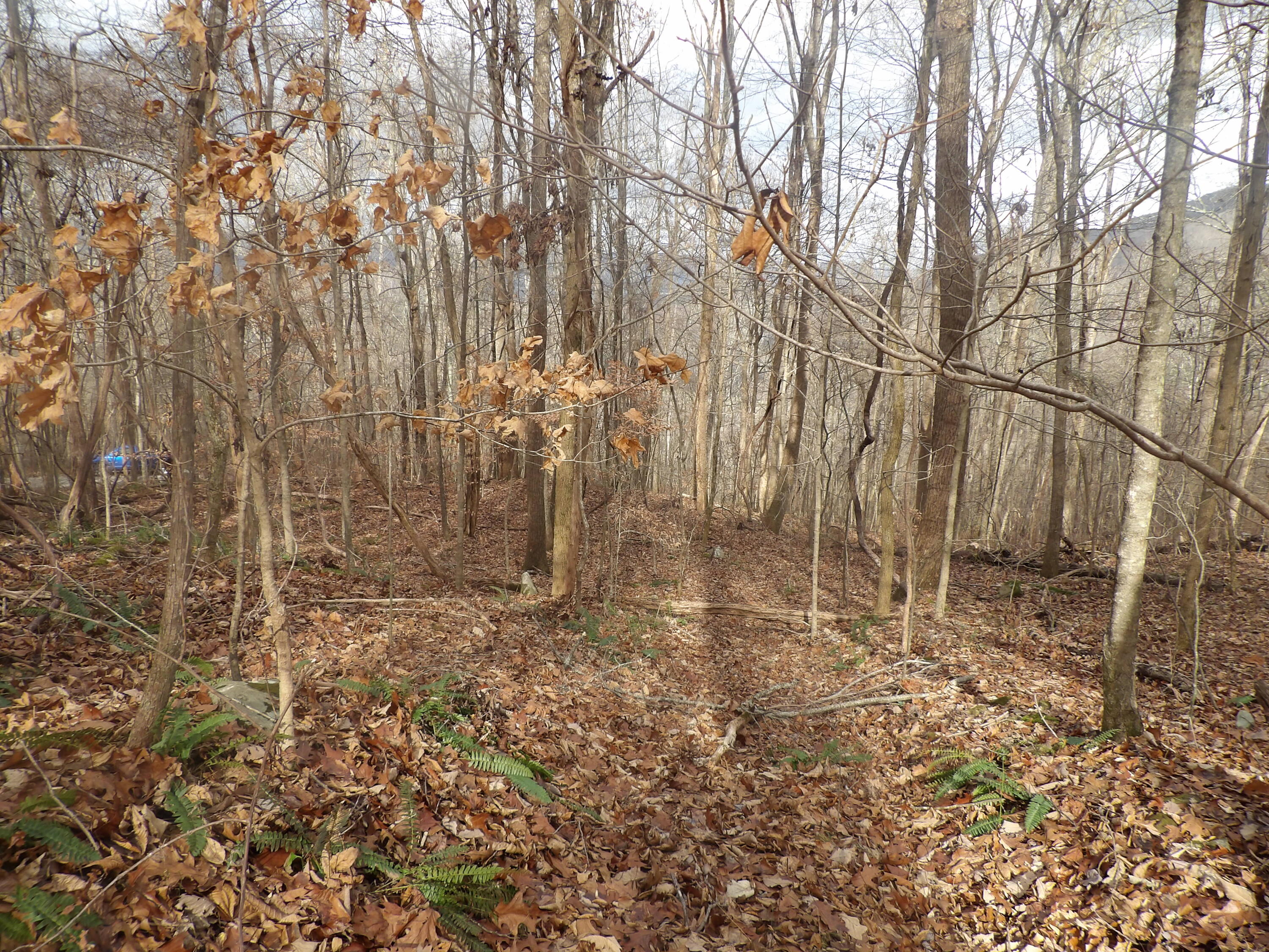 0 Cherokee Ridge Road, Unit 68/68A Pikeville, TN 37367 - Photo 8 of 29 100_3685