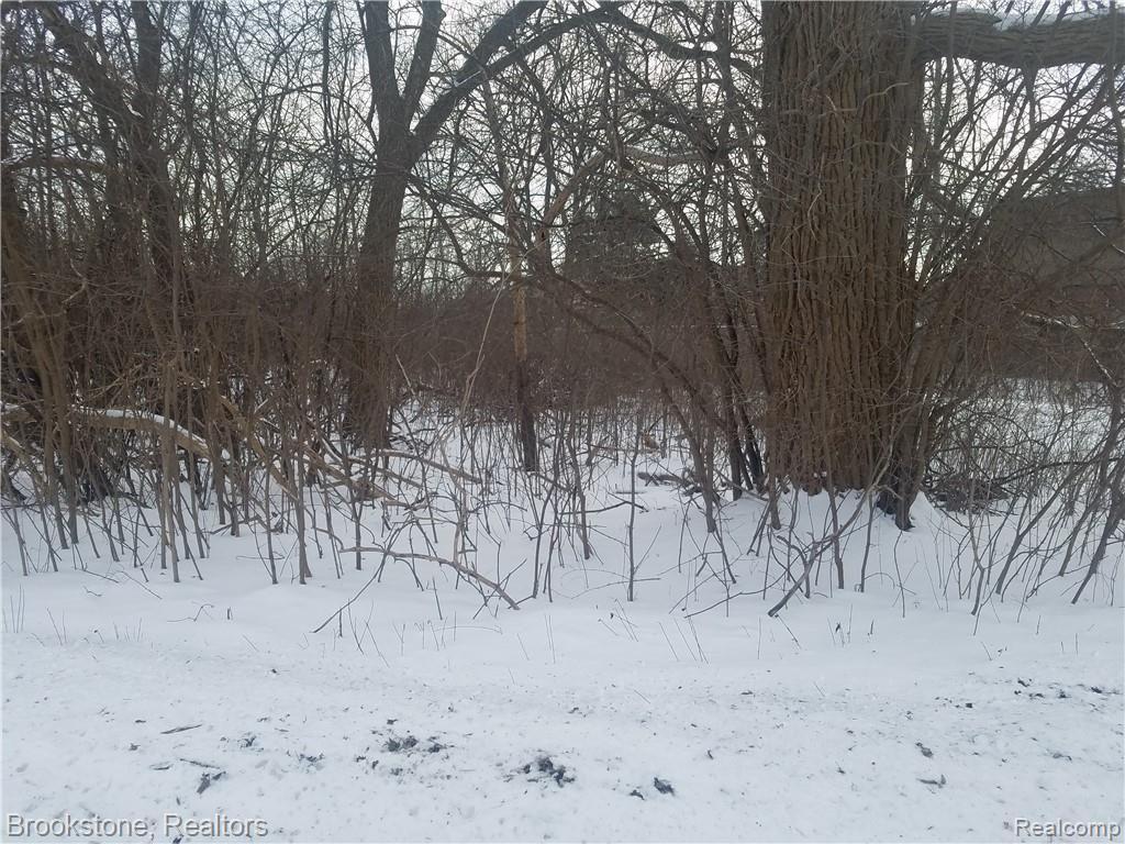 0 South Pemberton Road Bloomfield Hills, MI 48302 - Photo 1 of 3