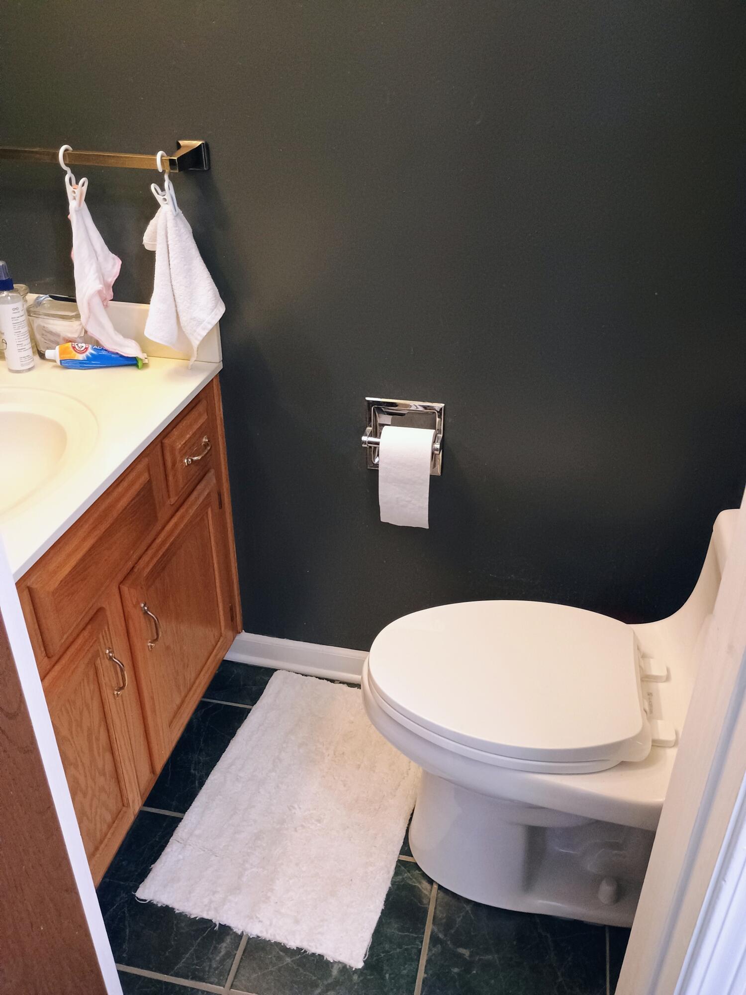 2736 Gilbert Road Lansing, MI 48911 - Photo 22 of 42 IMG_20250509_140156740_AE